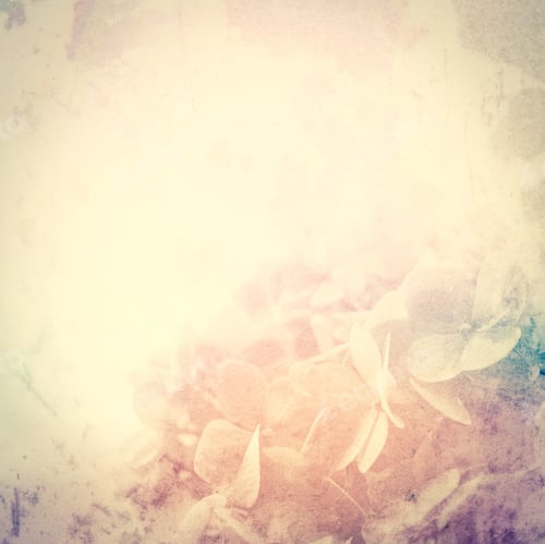 Preview: Colorful Flowers In Soft And Blur Style On Mulberry Paper Texture For Background