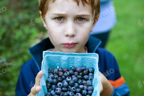 Preview: Boy with box of blueberries