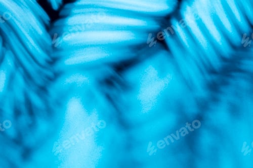 Preview: Palm leaves and shadows on a color wall background.