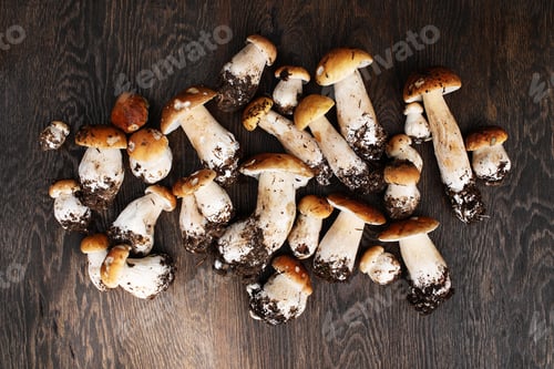 Preview: Fresh Wild Porcini on the Wooden Table