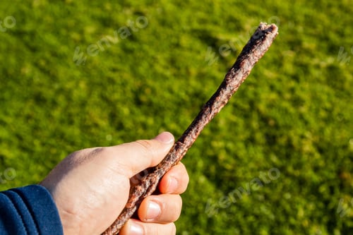 Preview: Closeup shot of a person holding a stick of wood over the grass covered field