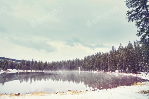 Preview: Early winter