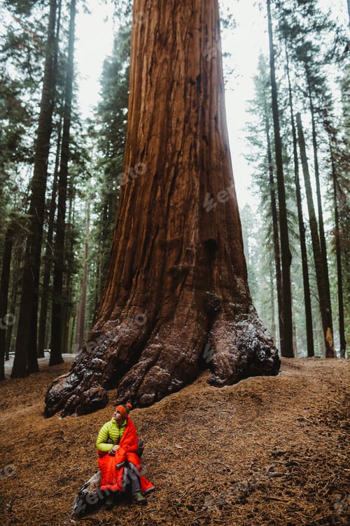 Preview: Male wild camper sitting on log wrapped in red sleeping in Sequoia National Park, California, USA