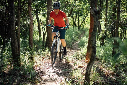 Preview: Mountain biking in summer forest