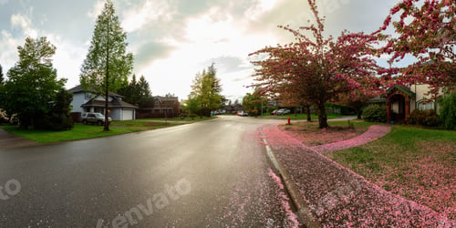 Preview: Panoramic View of Homes in Residential Neighborhood