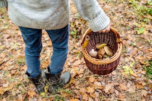 Preview: Unrecognizable man holding basket with mushooms, autumn forest