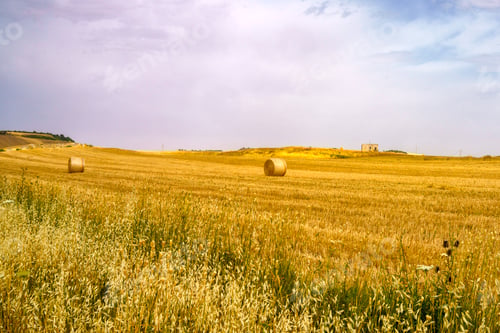 Preview: Country landscape near Matera and Gravina di Puglia