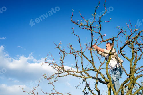 Preview: Senior man pruning tree branches against blue sky with clouds