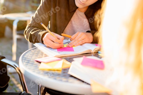 Preview: Studious moment in golden hour sunshine.