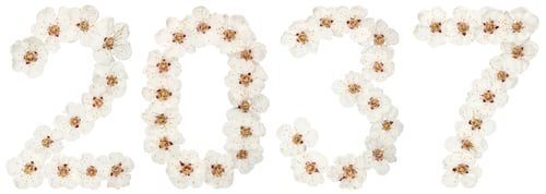 Preview: Inscription 2037, from natural white flowers of apricot tree, isolated on white background