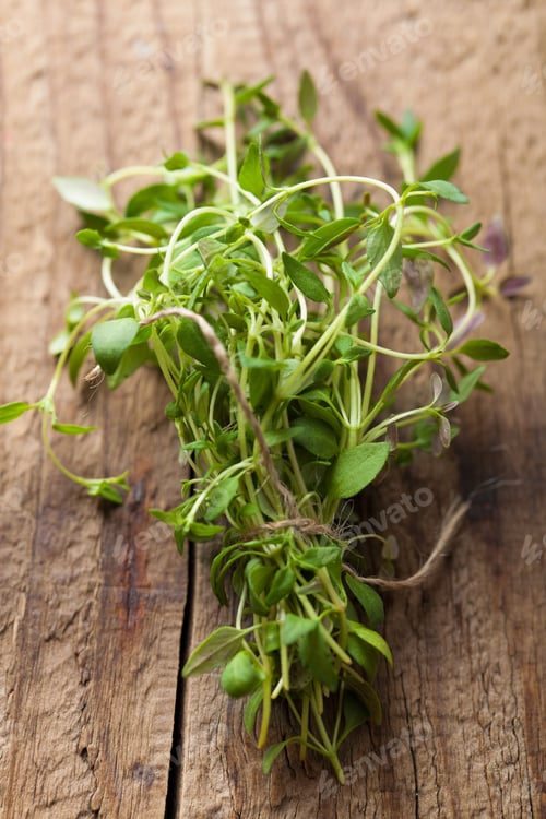 Preview: fresh thyme