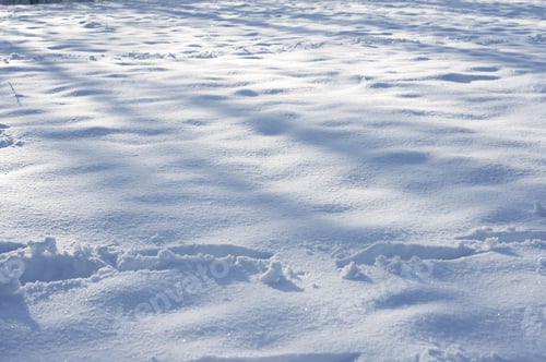 Preview: Closeup shot of a snowy landscape