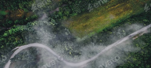 Preview: Overhead Aerial Shoot of road through colorful forest.Shoot From air.
