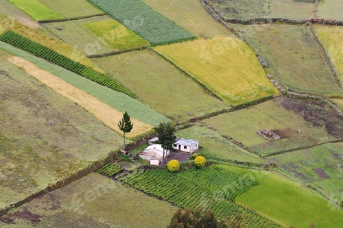 Preview: View of colorful terrace fields