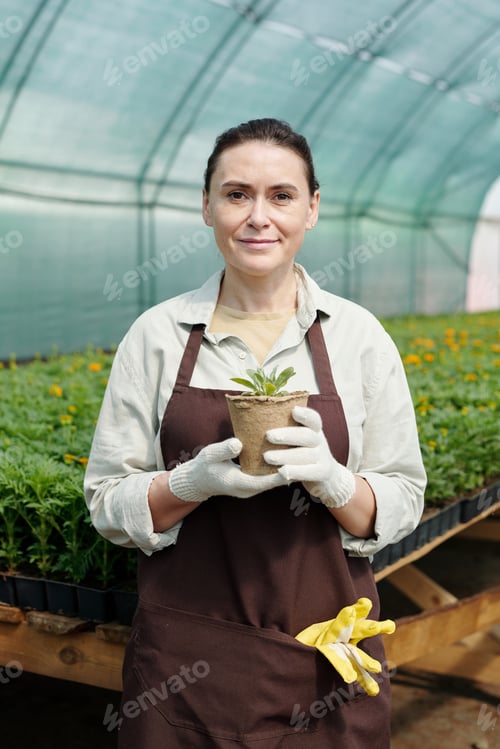 Preview: Gloved female fermer in apron holding pot with green seedling