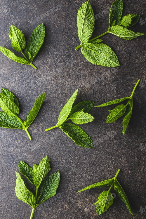 Preview: Green mint leaves.