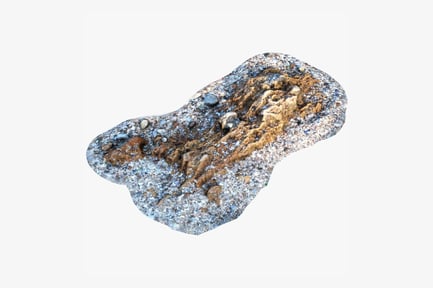 Preview: Textured Limestone Rocks and Shells