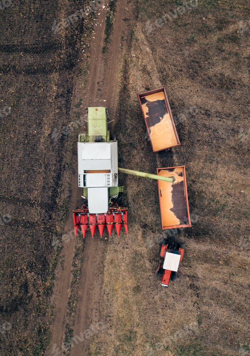 Preview: Aerial view of combine pouring harvested corn grains into traile