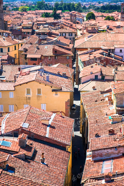 Preview: View over italian town Lucca with typical terra-cotta roofs