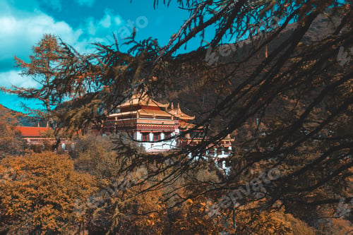 Preview: chong gu temple with snow mountain at daocheng,yading,china