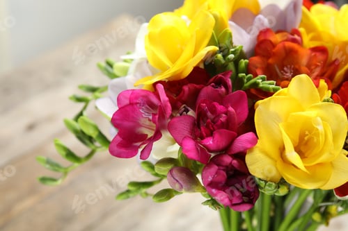 Preview: Beautiful spring freesia flowers on blurred background, closeup