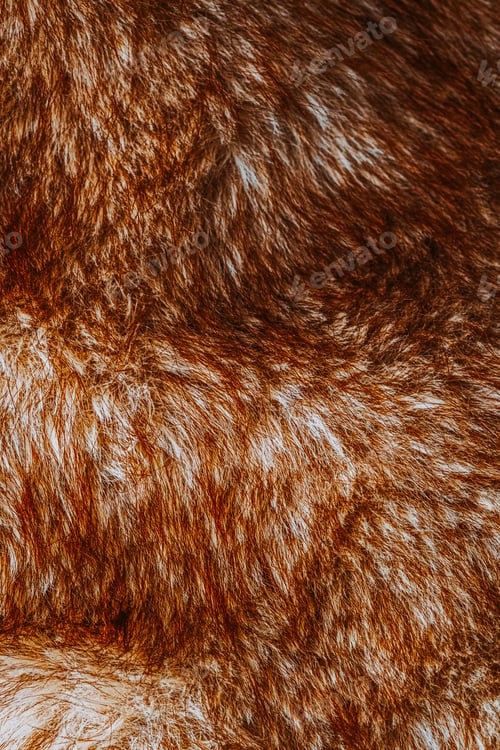 Preview: Soft reddish brown and creamy white luxurious faux fur material surface with shaggy texture