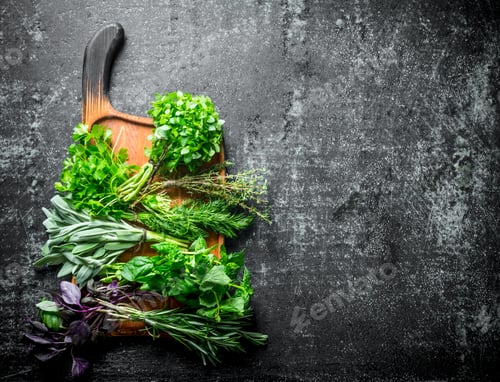 Preview: Fresh herbs cut in the home garden.
