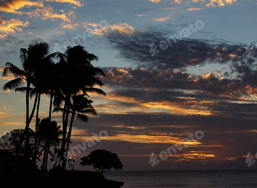 Preview: A Scenic Oahu north shore,Hawaii pictures