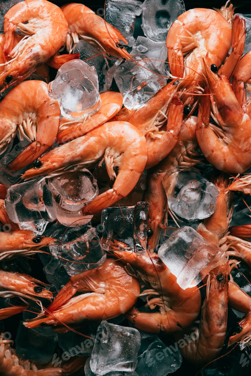 Preview: elevated view of pile of shrimps on ice cubes