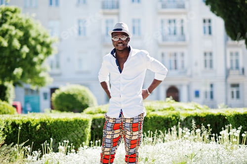 Preview: Stylish african american man