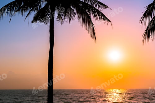 Preview: Beautiful Silhouette coconut palm tree on sky neary sea ocean be
