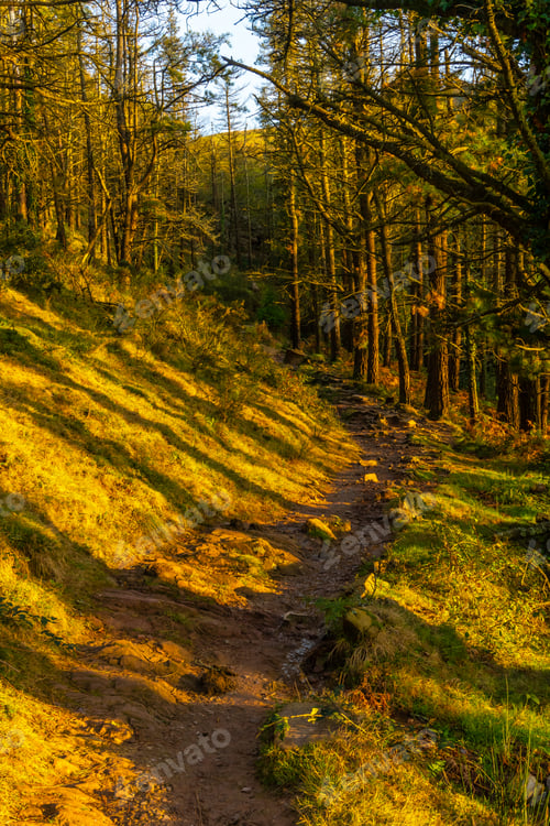 Preview: The trail at sunset of Mount Adarra in the town of Urnieta near San Sebastian
