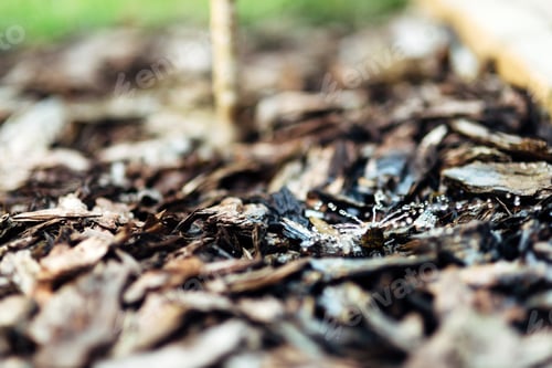 Preview: Irrigation system for trees