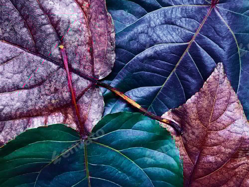 Preview: 🔥🔥🔥NOMINATED ALREADY 🔥🔥🔥