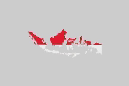 Preview: Indonesia flag map