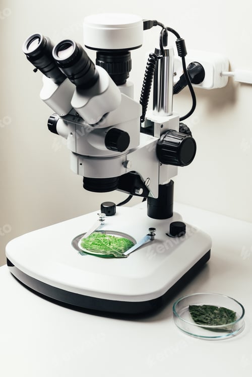 Preview: selective focus of green leaf under microscope in modern biotechnology laboratory