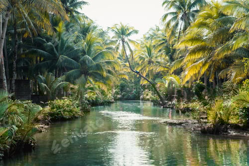 Preview: Leaning palm at Maasin river, Siargao