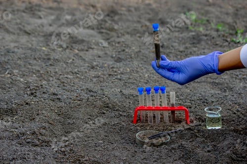 Preview: A scientist takes soil into a test tube for analysis. Selective focus.