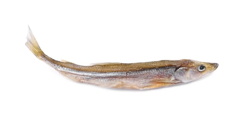 Preview: Dried salted smelt fish isolated on white