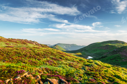 Preview: Small heart-shaped mountain lake on green slopes c