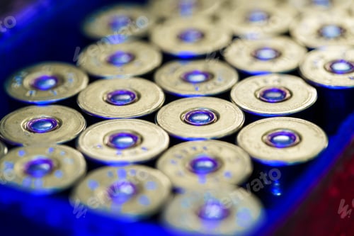 Preview: Set of cartridges for a hunting shotgun