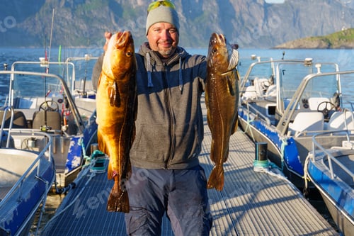 Preview: Fisherman with big cod fish. Norwegian fisherman has caught large Cod in Norwegian Fjord islands
