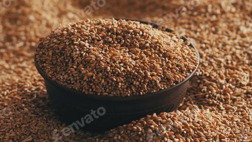 Preview: A grain of wheat in a clay bowl