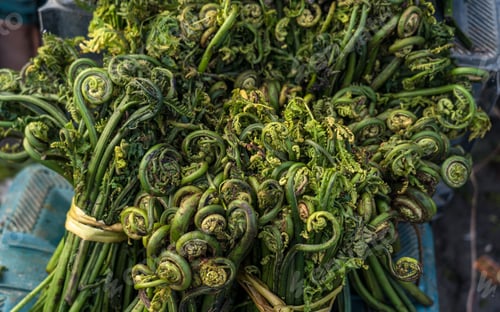 Preview: fresh green vegetables at the farmer's market