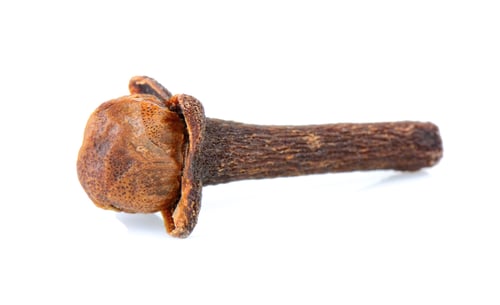 Preview: dry cloves on white background