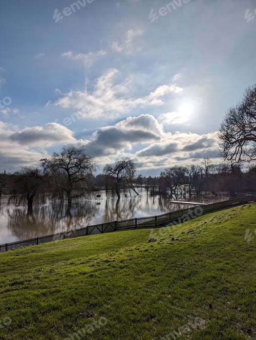 Preview: Scenic view of a grassy shoreline with trees near a lake