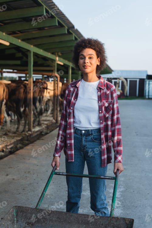 Preview: young african american farmer with wheelbarrow looking at camera near blurred cowshed