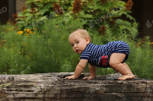Preview: The bear crawl...