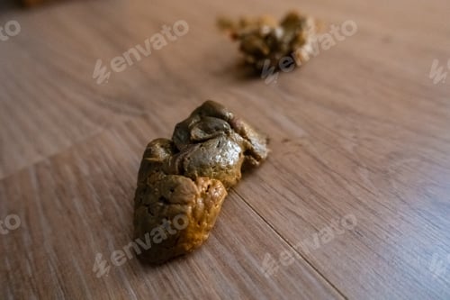 Preview: Human stool of a baby on the floor of his room.