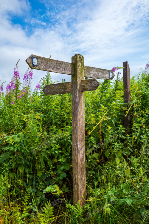Preview: Wooden sign showing the direction in a field under the blue sky